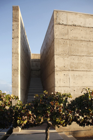 Weingut, Mexiko, Centro de Colaboracin Arquitectnica, Mexiko-Stadt, Erdarchitektur