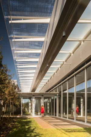 Musemserweiterung, Museum, Renzo Piano Building Workshop, Louis Kahn, Fort Worth, Texas
