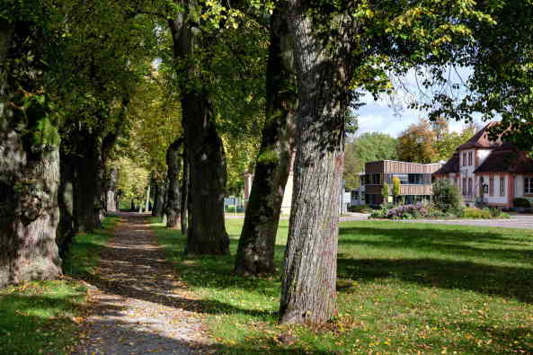 Ackermann Raff, Erweiterung Hochschule Weihenstephan-Triesdorf, Triesdorf