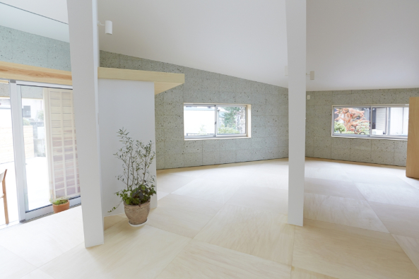 Tochigi; Hiroyuki Shinozaki Architects; Fumihiko Ikemoto; Achteck; Strahlen; Rundbgen; Einfamilienhaus; eingeschossig; House I