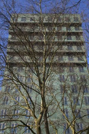 Luuk Kramer, Rotterdam, Kamiel Klaasse, Nieuw-Crooswijk, NL Architects, West 8, ABT, Skulpturalitt