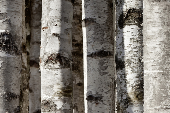 Artzpraxis, Purkersdorf, Wien, Juri Troy Architects, Sanatorium, Josef Hoffmann