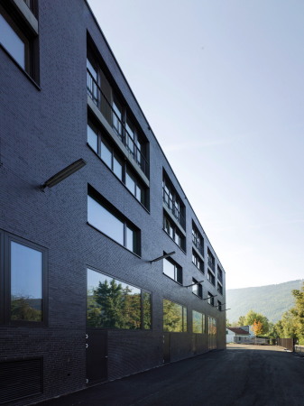 Werft und Wohnen Nidau, Goetz Castorph