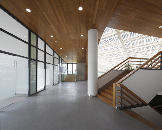 Xixi Park, Wetland Park, Besucherzentrum, RhineScheme Architekten, Westsee, Hangzhous, ifes, SunLay Design, Leed Award Platin