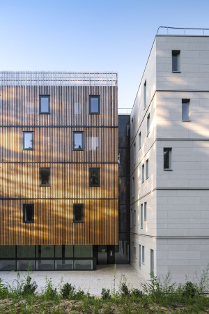 Ithaques, Atelier WRA, Studentenwohnheim, Wohneim, Holzhaus, Holztragwerk, Holzfassade, Gartenhaus, Whild rabbits architecture
