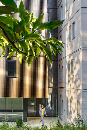 Ithaques, Atelier WRA, Studentenwohnheim, Wohneim, Holzhaus, Holztragwerk, Holzfassade, Gartenhaus, Whild rabbits architecture