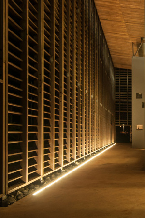 Universittsbibliothek, RW+ Architecture, Franzsisch-Guyana, Cayenne