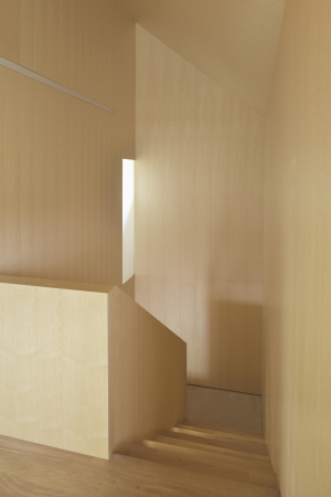 Haus in Slowenien, Arhitektura d.o.o.