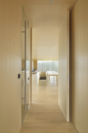 Haus in Slowenien, Arhitektura d.o.o.