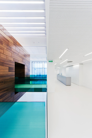 Innovationszentrum, Firmensitz, Foldes Architects, Gy�l, Budapest, Ungarn, Glas