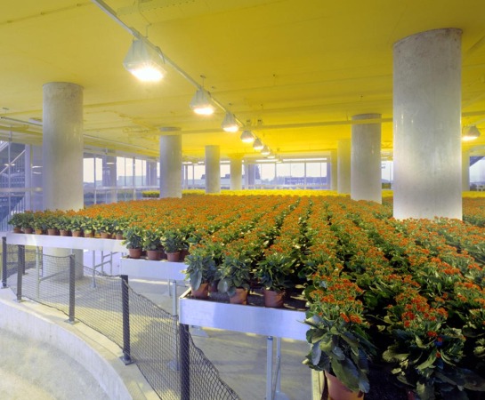 MVRDV, niederlndischer Pavillon fr Expo 2000