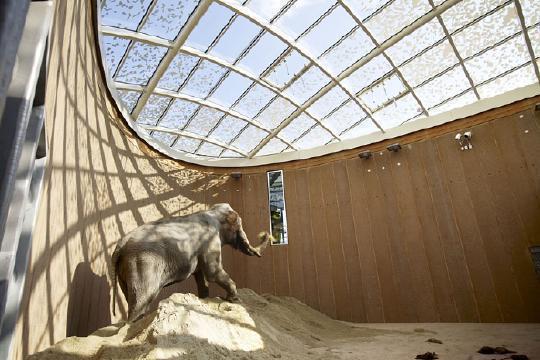 Fosters Elefantenhaus in Kopenhagen erffnet