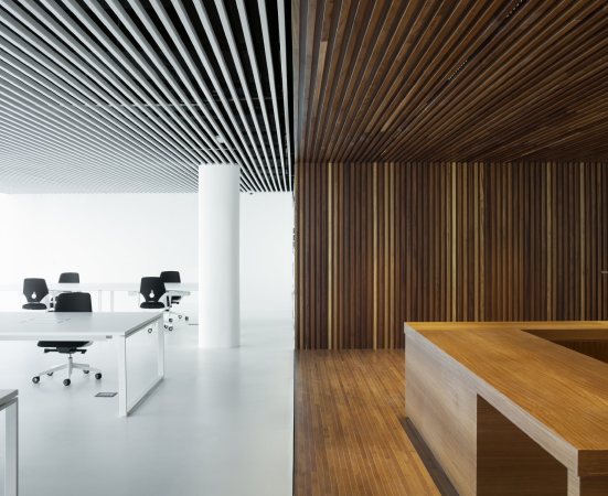 ACXT, Aitor Ortiz, Baskenland, baskisches Nationalarchiv, Archivgebude, Archiv, Historical Archive of the Basque Country, Mara de Haro, 3, Bilbao, Archivo Histrico de Euskadi, Gonzalo Carro, Glasfassade, Interriodesign, Design, Spanien, Iberische Halbinsel, gefaltete Fassade, Lagerhaus, Kellergeschoss, Erdgeschoss, Rasen, Brogebude, Leserume, Lesesaal, Bibliothek, Arbeitsraum, Aktenschrank, bedrucktes Glas