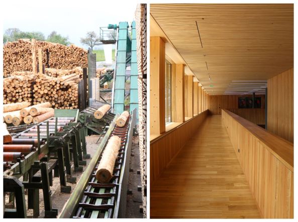 Bauen mit Holz; Kolloquium; Weimar; institut fr experimentelle architektur; ifex