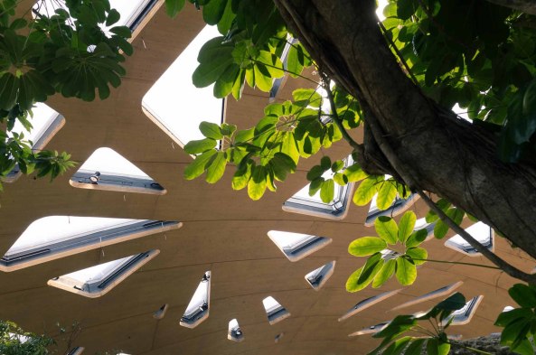 Zoo Zrich, Elefantenhaus, Markus Schietsch Architekten, Dachkonstruktion, Dach, Holz, Schalenkonstruktion