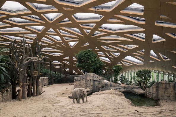 Zoo Zrich, Elefantenhaus, Markus Schietsch Architekten, Dachkonstruktion, Dach, Holz, Schalenkonstruktion