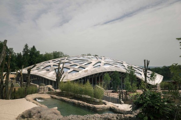Zoo Zrich, Elefantenhaus, Markus Schietsch Architekten, Dachkonstruktion, Dach, Holz, Schalenkonstruktion