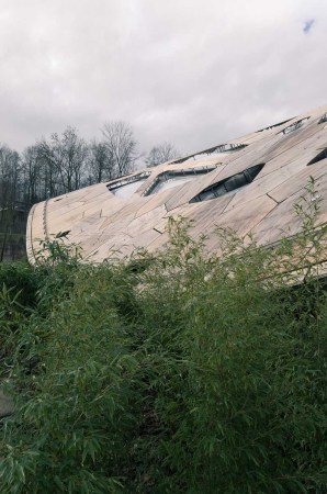 Zoo Zrich, Elefantenhaus, Markus Schietsch Architekten, Dachkonstruktion, Dach, Holz, Schalenkonstruktion