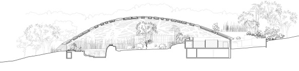 Zoo Zrich, Elefantenhaus, Markus Schietsch Architekten, Dachkonstruktion, Dach, Holz, Schalenkonstruktion