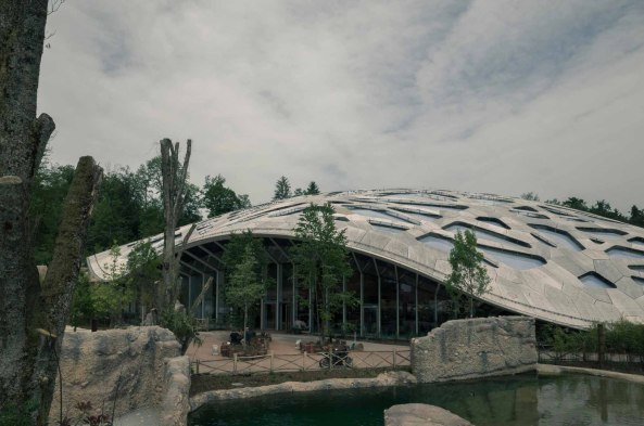 Zoo Zrich, Elefantenhaus, Markus Schietsch Architekten, Dachkonstruktion, Dach, Holz, Schalenkonstruktion