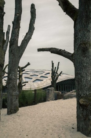 Zoo Zrich, Elefantenhaus, Markus Schietsch Architekten, Dachkonstruktion, Dach, Holz, Schalenkonstruktion