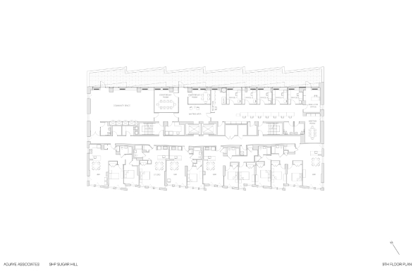 Adjaye Associates; Wohnungsbau; Sozialwohnungsbau; Sugar Hill; Harlem; New York; David Adjaye; Architekten; Graphit; Fassade; Rosen; Broadway Housing Communities; Museum; neugotisch; apartmens; Sugar Hill Development; affordable housing
