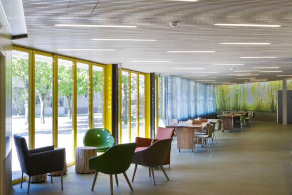 Care center, daycare center, Niederlande, Netherlands, Schiedam, Ipse de Bruggen foundation, Mhn + Bouman, Holz, Kastanienholz, Fassade, Glas, Glasfassade, wood, glass, chestnut, Zaun, fence, Galsdruck, Carol Fulton