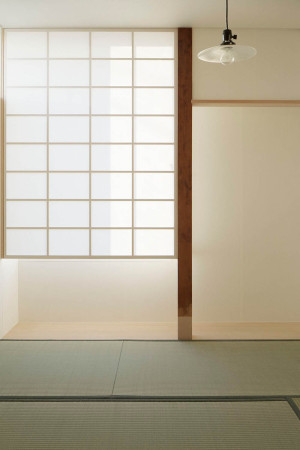 Japan, Tokio, Fumihiko Sano, studio Phenomenon, Wohnhaus, Holz, Wohnen, studio, Zaun, Edelstahl, stainless steel, Moireffekt