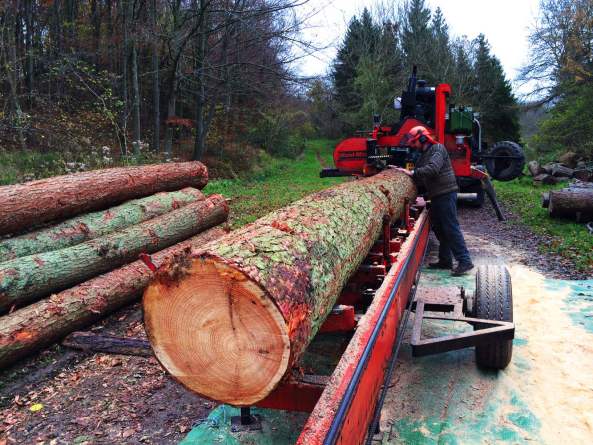 Invisible Studio, Bath, Holzhaus, Studio, Selbstbau, Timber