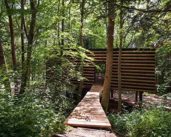 Invisible Studio, Bath, Holzhaus, Studio, Selbstbau, Timber