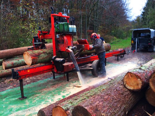 Invisible Studio, Bath, Holzhaus, Studio, Selbstbau, Timber