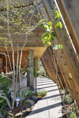 Koji Fujii/Nac�sa & Partners Inc., Cocochi comfort gallery Utsuwa, UID Architects, Tajiricho, Fukuyama, Hiroshima, Japan, Toshiya Ogino, Keisuke Maeda, Gemeindezentrum, Holz, Holzlatten, Lattenzaun, Wood, louvers, Natur, B�ume, Baum, Galerie, Seminar, Seminarr�ume, Treffpunkt, Veranstatulngsort, Hiroschima