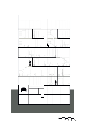 Wohnungsbau, 169 Amsterdam, JSa, Mexiko, Mexiko-Stadt, doppelte Fassade, Beton, Glas, Holz, Pinienholz