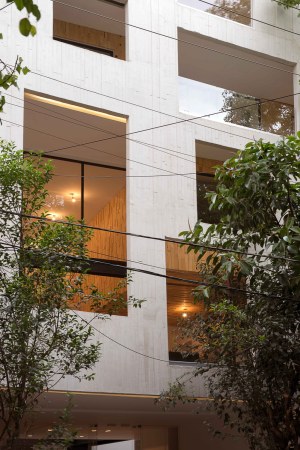 Wohnungsbau, 169 Amsterdam, JSa, Mexiko, Mexiko-Stadt, doppelte Fassade, Beton, Glas, Holz, Pinienholz