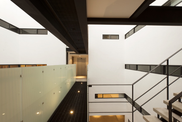 Wohnungsbau, 169 Amsterdam, JSa, Mexiko, Mexiko-Stadt, doppelte Fassade, Beton, Glas, Holz, Pinienholz