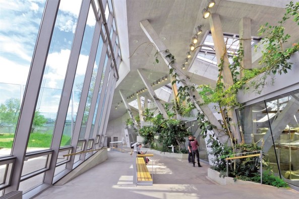 Hugo-H�ring-Auszeichnung 2014, Gro�er Hugo, Hugo H�ring Preis, BDA Stuttgart, Preis, Awards, Auszeichnungen, gute Architektur, Bund Deutscher Architekten BDA, Gute Bauten, Ausgezeichnete Architektur, Publikumspreis, Anlage f�r afrikanische Menschenaffen im Zoologisch-Botanischen Garten Wilhelma in Stuttgart, Hascher Jehle Architektur, Stuttgarter Zeitung, BDA Baden-W�rttemberg, HUGO-H�RING-AUSZEICHNUNG