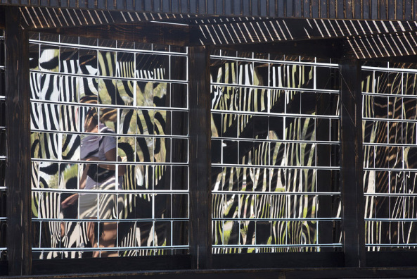 NAS architectures; Pavillon; breath box; Strand; La Grande Motte; Mittelmeer; Paul Kozlowski; Photoarchitecture; Festival of Lively Architecture