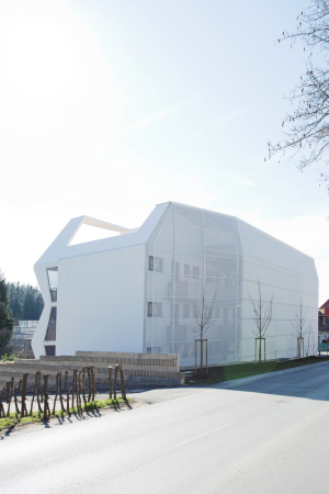 Wohnhaus Graz, Ragnitzstrae, LOVE architecture, Wohnungsbau, Balkone, Lattenzaun, wooden fence, Laubengang, access balcony