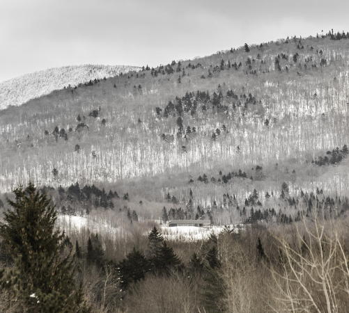 Residence Roy-Lawrence, Chevalier Morales Architectes, Sutton, Quebec, Kanada, Einfamilienhaus, Schweizer Chalet, Holzbau, residence, Canada, timber, mountains