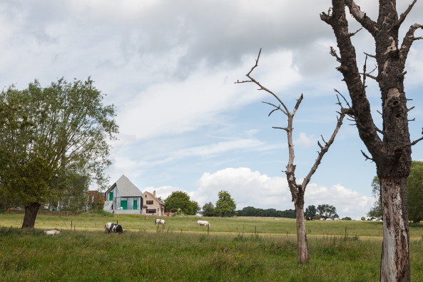 Vosholenweg 9, Belgien, Sint-Pieters-Leeuw, Einfamilienhaus, Villa, K�he, Schindeln, Zementschindeln, Dorf, Stijn Bollaert, Glas, Beton, Moderne, Garage, Tiefgarage, Untergeschoss, Domus, Dezeen, Archdaily, cement tiles, NU architectuuratelier, dezeen, offener Raum, flei�ender Grundriss