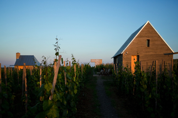 Gereben Mari�n Architects Ltd., Almagyar, Eger, Ungarn, Hungary, Weinterrasse, wine terrace, Tuff stone, earth concrete, Wein und Architektur, Recycling, Weinterrasse,Tufflehm im Weinberg, Archaische Ferienanlage in Ungarn, Tourismus, Touristen, new buildings, architecture, BauNetz, news