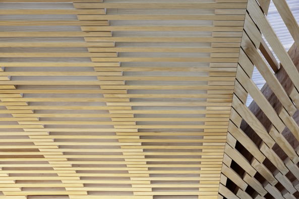 Stadtgarten Zug, Platz, Garten Pavillon, Zeughausareal, Stadtpark, Brettschichtholz, Stadtraum, grn, Vegetation, St. Oswaldskirche, Kantonsbibliothek Zug, Zugerberg, Kirchenstrae, Clematis, Nutzpflanzen, Belvedere, Hangkante, Holzlamellen, Garten, Vorplatz, Trinhalle, Kiosk, Bdchen, Schweiz, Kanton Zug, garden, square, library, church, park, Planetage und Ramser Schmid