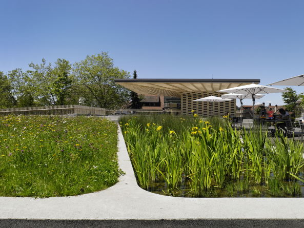 Stadtgarten Zug, Platz, Garten Pavillon, Zeughausareal, Stadtpark, Brettschichtholz, Stadtraum, gr�n, Vegetation, St. Oswaldskirche, Kantonsbibliothek Zug, Zugerberg, Kirchenstra�e, Clematis, Nutzpflanzen, Belvedere, Hangkante, Holzlamellen, Garten, Vorplatz, Trinhalle, Kiosk, B�dchen, Schweiz, Kanton Zug, garden, square, library, church, park, Planetage und Ramser Schmid