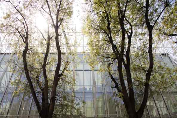 Expo Gate, Mailand, Milano, Scandurra Studio, temporrer Pavillon, temporary pavilion