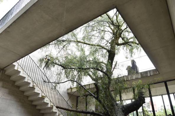 Mxico, Mexiko-Stadt, Casa BC, Wohnhaus, housing, Haus, 3ARCH, Beton, Einfamilienhaus, Stein, Schlucht, Felsen, canyon