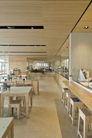 Insel Mainau, Comturey, Hein Architekten, Comturey Turm, Gastronomie, Hafen, Insel, island, port, Holzbau, Holz, wood, Caf�, Restaurant, Kiosk, Barrierefreiheit, Park, Dachgarten, Fassade, facade, rooftop garden, Holzkonstruktion, Magnesit-Estrich, Wei�tanne