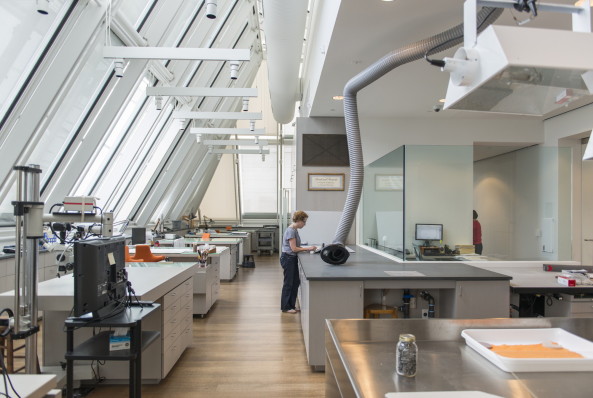 Cambridge, 32 Quincy Street, MA 02138, Harvard University, Harvard Art Museums, Museum, Renzo Piano, Museum, Boston, Carpenter Center for the Visual Arts, Le Corbusier, Kunstmuseum, Neubau, Beton Pyramide, Museumsbau, Kunst, Archologie, Kunstgewerbe, 2014, Fogg Museum, Busch-Reisinger Museum, Arthur M. Sackler Museum, Building Workshop, Beton, Innenhof, Glasdach, Glaspyramide