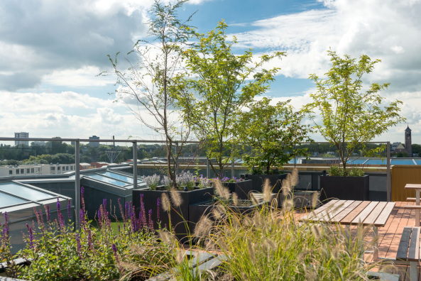 Utrecht, Bahnhof, Central Station, Ma�werk, Beton, Glas, Wohungsbau, Niederlande, Balkone, Treppen, Fassade, Ziegel, Stein, Kop van Lombok, Moschee, Mosque, Religion, Bouwfonds Ontwikkeling, Regio Midden, Amersfoort, Architectenbureau Marlies Rohmer, Floris Hund, Ronald Hageman, Kirsten Gabri�ls, Jan van Erven Dorens, Martin Koster, Boris Briels, Thea van den Heuvel, DAPh, Mietwohnung, zur Miete, renting, building, architecture,