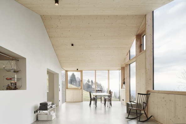 Wohnhaus, Beton, Umbau, Neubau, Erweiterung, Bestand, stereich, Rheintal, Dornbirn, Bodensee, Hang, Abhnag, Wohnhaus, Villa, Einfamilienhaus, Hanglage, Jochen Specht, Architekt, Haus Hohlen, Holzbau, Vorfertigung, Konstruktion, Holzkonstruktion, Sanierung, Pfosten-Riegel-Skelett, Bootsbau