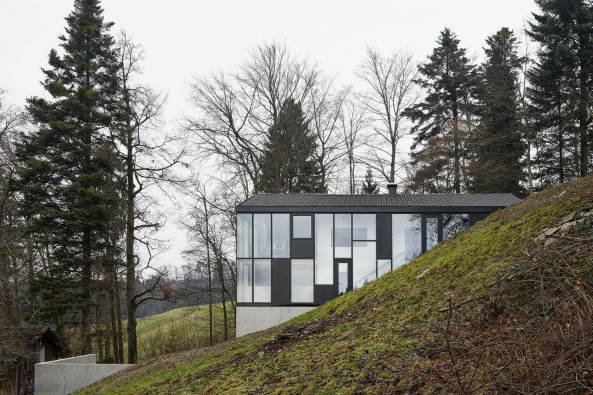 Wohnhaus, Beton, Umbau, Neubau, Erweiterung, Bestand, stereich, Rheintal, Dornbirn, Bodensee, Hang, Abhnag, Wohnhaus, Villa, Einfamilienhaus, Hanglage, Jochen Specht, Architekt, Haus Hohlen, Holzbau, Vorfertigung, Konstruktion, Holzkonstruktion, Sanierung, Pfosten-Riegel-Skelett, Bootsbau